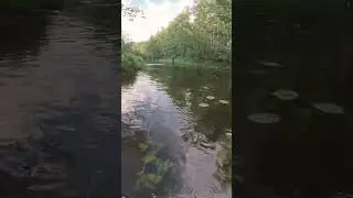 рыбалка с узбеком из Эстонии )