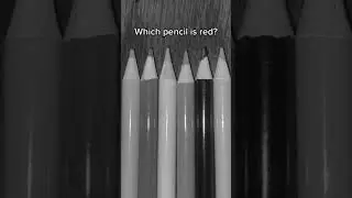 Which pencil is RED? #firstofthemonth #fotm #intuitiontest #intuition #guessthecolor #coloredpencil