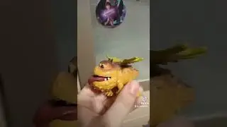 чувачело с коллекций вещичек чек^_^