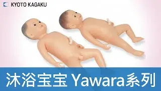 沐浴宝宝Yawara系列 M59 M63 Kyoto Kagaku