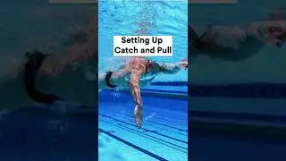 Setting up the Catch and Pull #swimmingtips #shorts