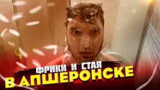 СТАЯ И ФРИКИ В АПШЕРОНСКЕ | STAYA & FREAK SQUAD | TWITCH | ПЕРЕЗАЛИВ