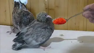 Поднять или вытянуть...