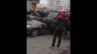 Осторожно, жёсткие кадры!