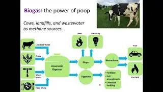 Renewable energy: biofuels (Week 10, Lecture 1)