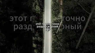 новый проект дейлик