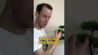 ОГЭ По информатике ЗА 7 ДНЕЙ