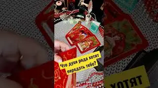 Что тебе хотят передать духи рода?🧿🪬 #гадание #tarot #tarotonline #tarotcard