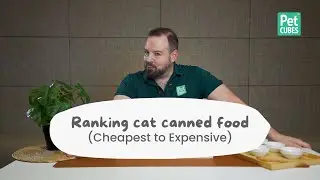 What is in canned cat food | Ranking different canned cat food