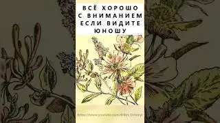 Найдёте на картинке юношу? #тестнавнимательность