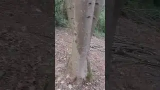 8 aprile 2024 aggiornamento dalla zona nord-est della cascina