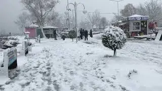 Sapanca Karlı Bir Gün