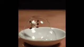 Pokemon Mankey Popping Bubbles