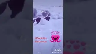 Сокол