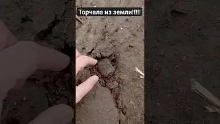 СЕРДЦЕ ЁКНУЛО!!!,КОГДА УВИДЕЛ ЭТО!!!