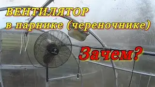 Вентилятор в парнике (череночнике) - для чего нужен?