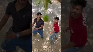 सच्ची घटना पर आधारित 🤣🤣 🥭 
