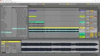 Запись урока по работе с семплами и Warp режимами в Ableton Live
