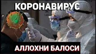 Агар Коранавирус Бизгача Келса.  ХИМОЯЛАРИШ УЧУН 9ТА УСУЛ !!!