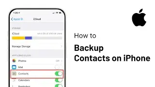How to Backup Your Contact on iPhone (Step-by-Step)