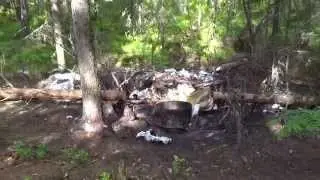 Егерь Виктор Гусев