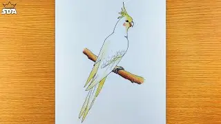 How to draw a Cockatiel Bird Sitting On Branch easy for kids | Cockatiel Bird drawing and coloring