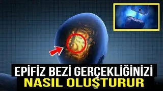 Epifiz Bezi Aktivasyonu | Dr. Joe Dispenza