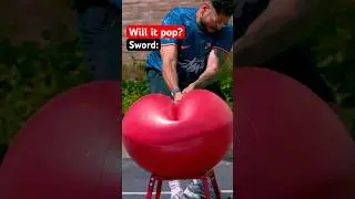 What pops an exercise ball? 🤔