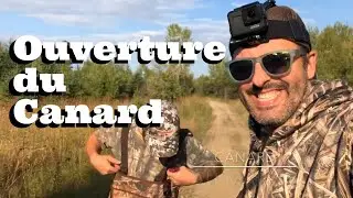 Chasse au canard Journée de l’ouverture