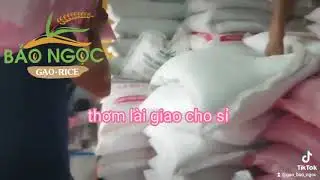 Gạo Bảo Ngọc