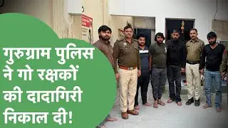 Cow को Chicken Momos खिलाने वाले केस में Gurugram Police ने गो रक्षकों का इलाज क्यों कर दिया?