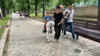 Стив катается на лошадке, парк Шевченко