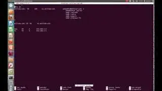 servidores web dns y dhcp