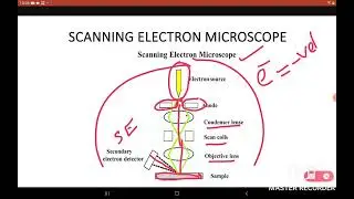 KTU S1,S2 Scanning electron microscope(SEM) ,Engineering Chemistry,  Instrumental Method (Malayalam)