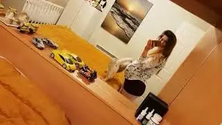 Pregnancy and my cat Jessie