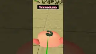 Типичный день 