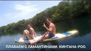 Vlog. МЕКСИКА. Плайа-дель-Кармен 2022. Секретное место в ДЖУНГЛЯХ. Плаваем с ЛАМАНТИНАМИ.