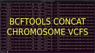 Bcftools concat to Merge or combine Chromosome VCF files