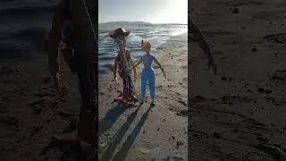 Woody & Bo Peep 