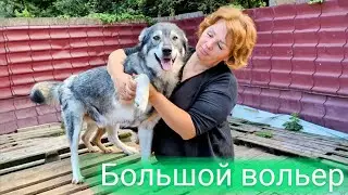 Поздравление от Джанго из большого вольера