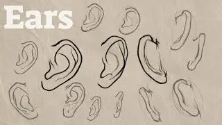How to Draw Ears