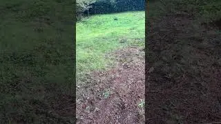 rc car vs hill climb
