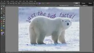 Photoshop Elements 10 - Use Text on Selection Tool to Add Text to an Image