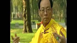 Chen Taijiquan. Master Zhang Zhijun