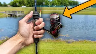 Bank Fishing A Public Park With Ultralight Gear!