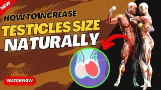 How To Increase Testicles Size Naturally | STOP!✋Eating These Foods🚫| Vitamin A & High Testoterone