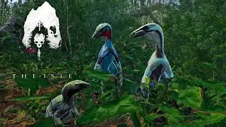 Nesting Project: Baby Beipis! -The Isle Update 0.17-