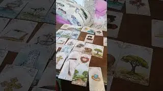 Где находится от 1 07 2023