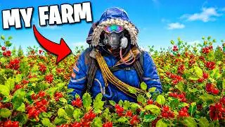 I Built an OP tea farm in Rust..