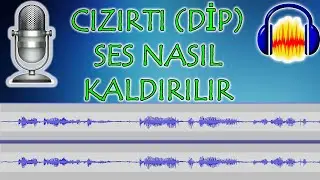 MICROPHONE STRIP (DIP) AUDIO REMOVAL HOW TO REMOVE AUDACITY SUPPORT